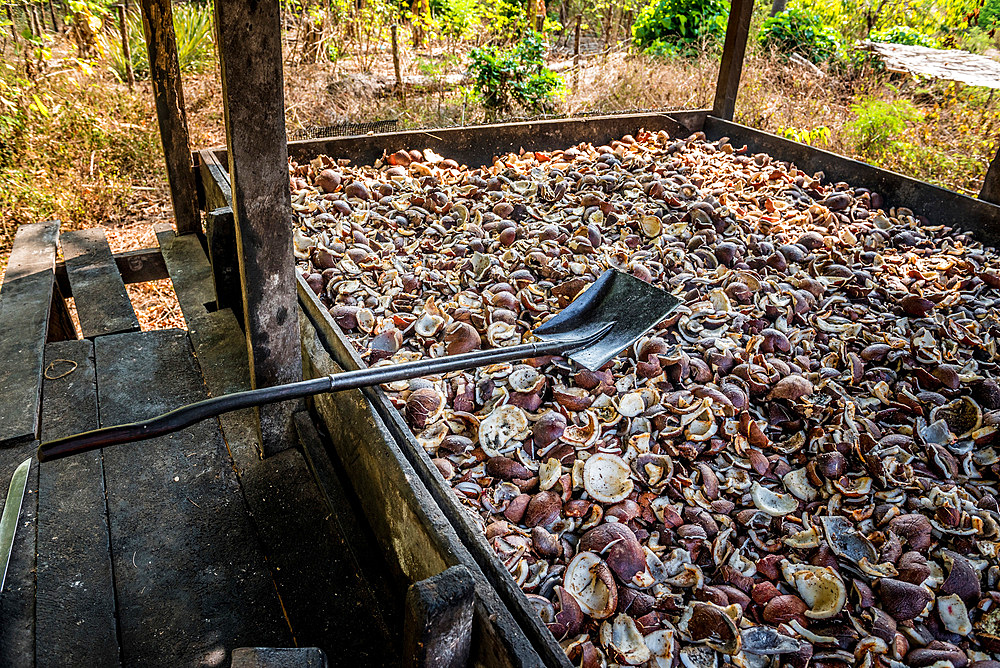 Copra drying in the oven, Malekula, Vanuatu, South Pacific, Oceania