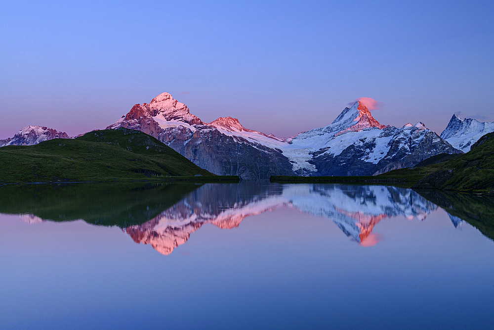 Wetterhorn, Schreckhorn and Finsteraarhorn in alpenglow are reflected in mountain lake, Bachalpsee, Grindelwald, Bernese Oberland, UNESCO World Natural Heritage Swiss Alps Jungfrau-Aletsch, Bernese Alps, Bern, Switzerland