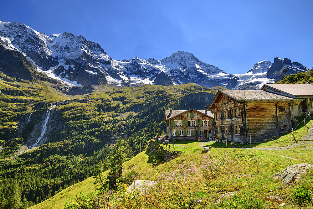 Almsiedlung Obersteinberg with Großhorn, Breithorn and Tschingelhorn in the background, Obersteinberg, Bernese Oberland, UNESCO World Natural Heritage Swiss Alps Jungfrau-Aletsch, Bernese Alps, Bern, Switzerland