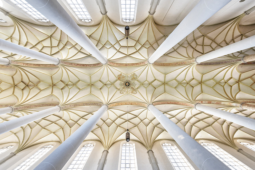 View to the cross vault of the nave of the parish church of St Martin, Lauingen, Dillingen district, Bavaria, Danube, Germany