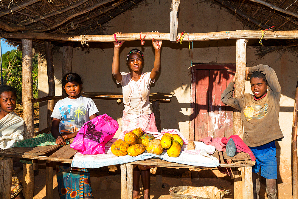 Vegetable stand in the central highlands near Ampefy, Madagascar, Africa