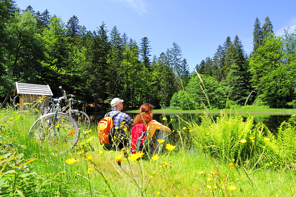 Couple resting near small lake, Bavarian Forest National Park, Lower Bavaria, Bavaria, Germany