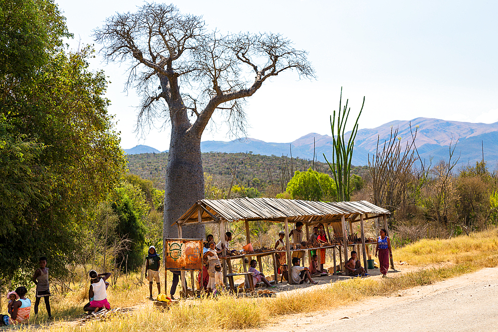 Sales booth for souvenirs on the road to Fort Dauphin, Southern Madagascar, Africa