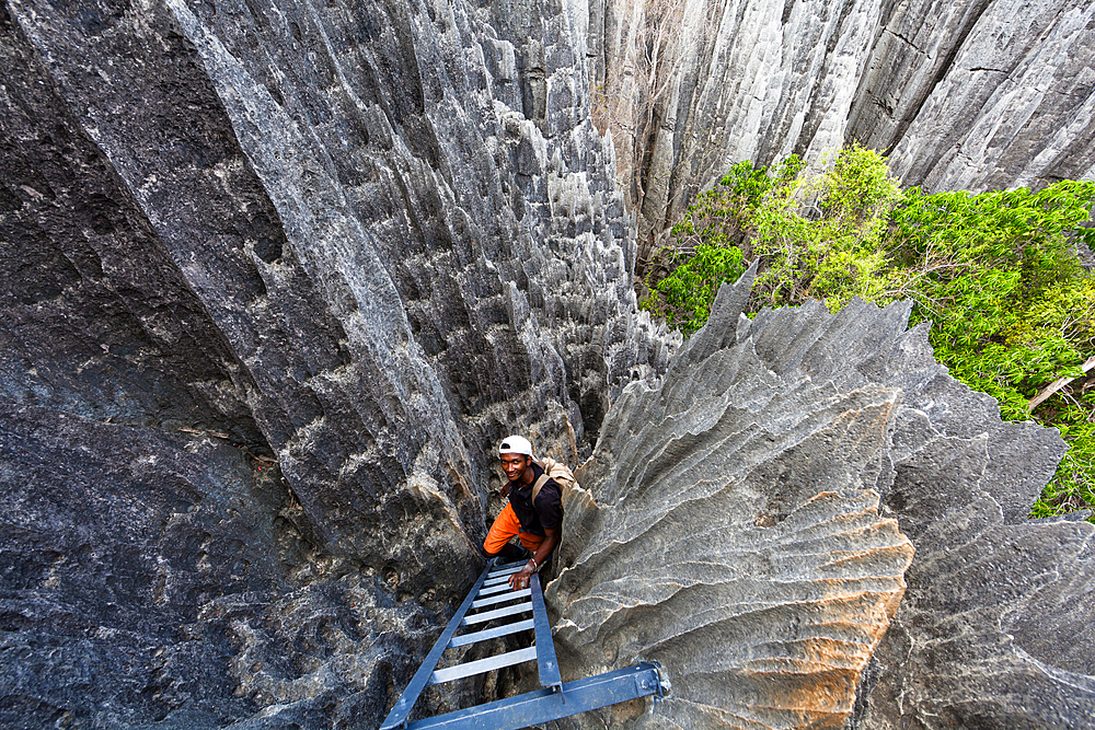 Madagasse in the karst landscape of Tsingy de Bemaraha, Tsingy-de-Bemaraha National Park, Mahajanga, Madagascar, Africa