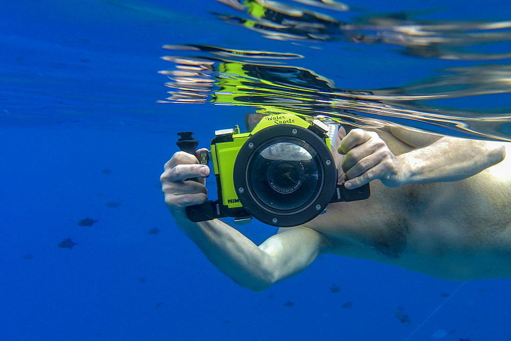 Underwater shot of man with Panasonic Lumix camera with underwater housing while snorkeling in the lagoon of Bora Bora, Bora Bora, Leeward Islands, French Polynesia, South Pacific