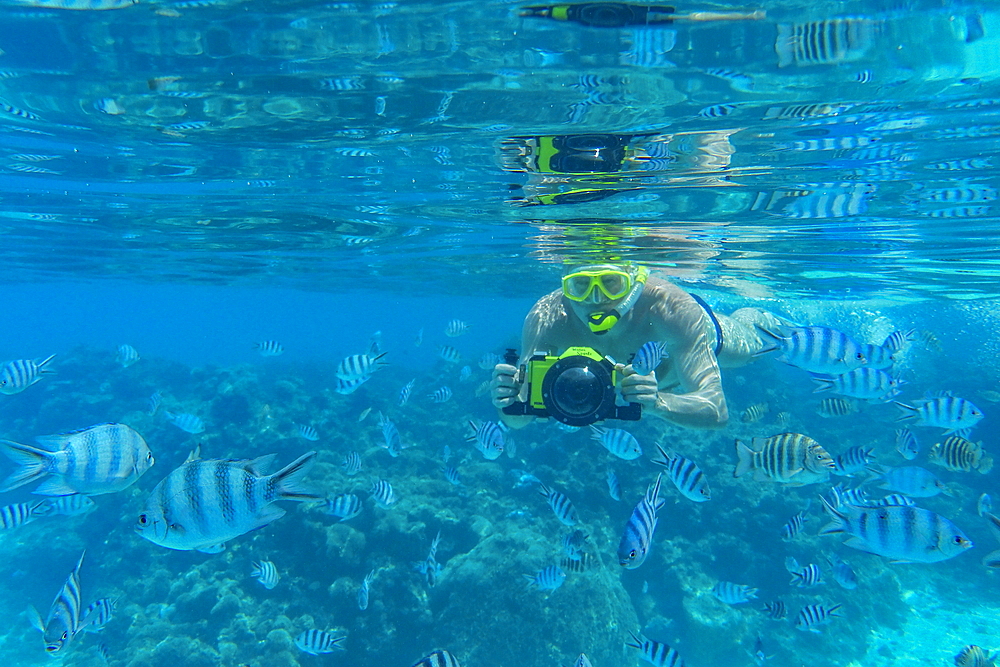 Underwater shot of man with Panasonic Lumix camera with underwater housing while snorkeling with tropical fish in the lagoon of Bora Bora, Bora Bora, Leeward Islands, French Polynesia, South Pacific