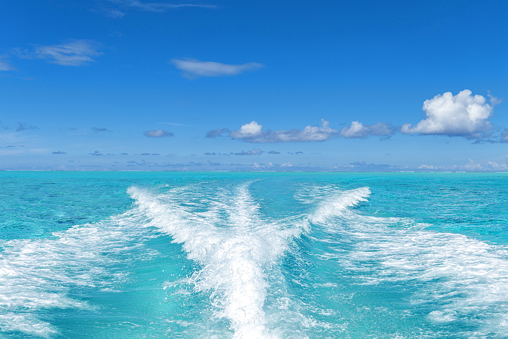 The waves of a speedboat in the turquoise waters of the Bora Bora Lagoon, Bora Bora, Leeward Islands, French Polynesia, South Pacific