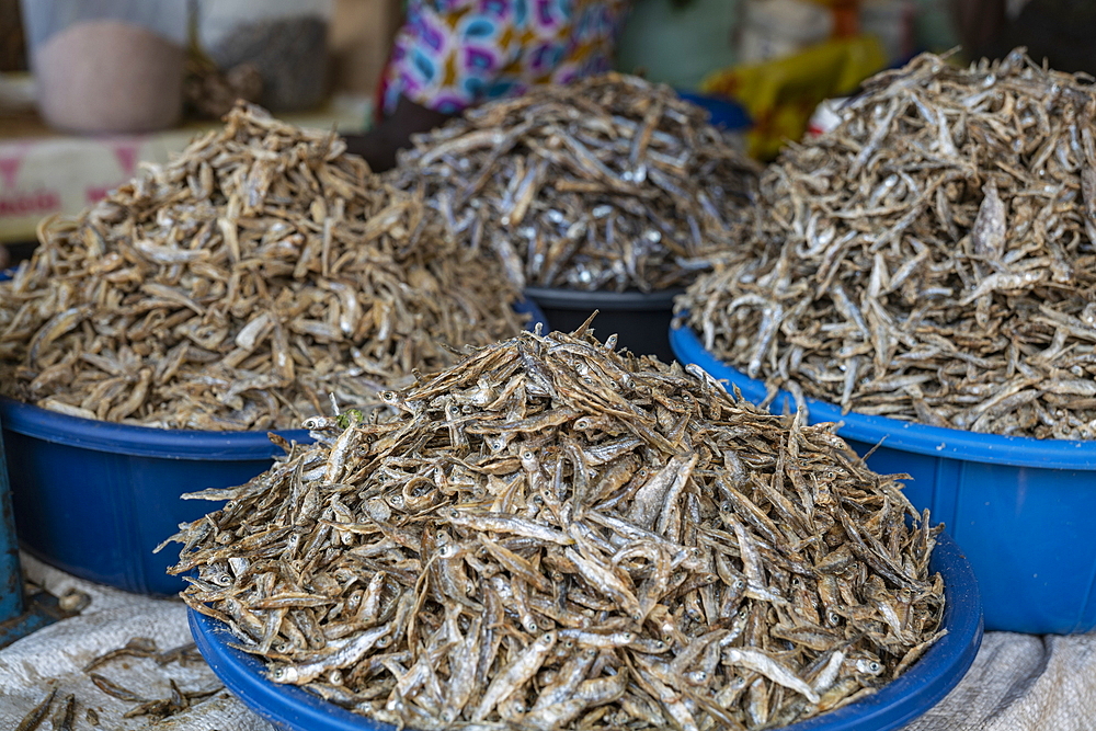 Sambaza fish for sale at Kimironko Market, Kigali, Kigali Province, Rwanda, Africa