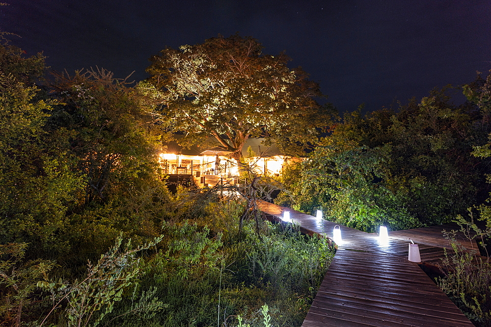 Wooden walkway leads to the main building in the luxury tented resort Magashi Camp (Wilderness Safaris) at night, Akagera National Park, Eastern Province, Rwanda, Africa