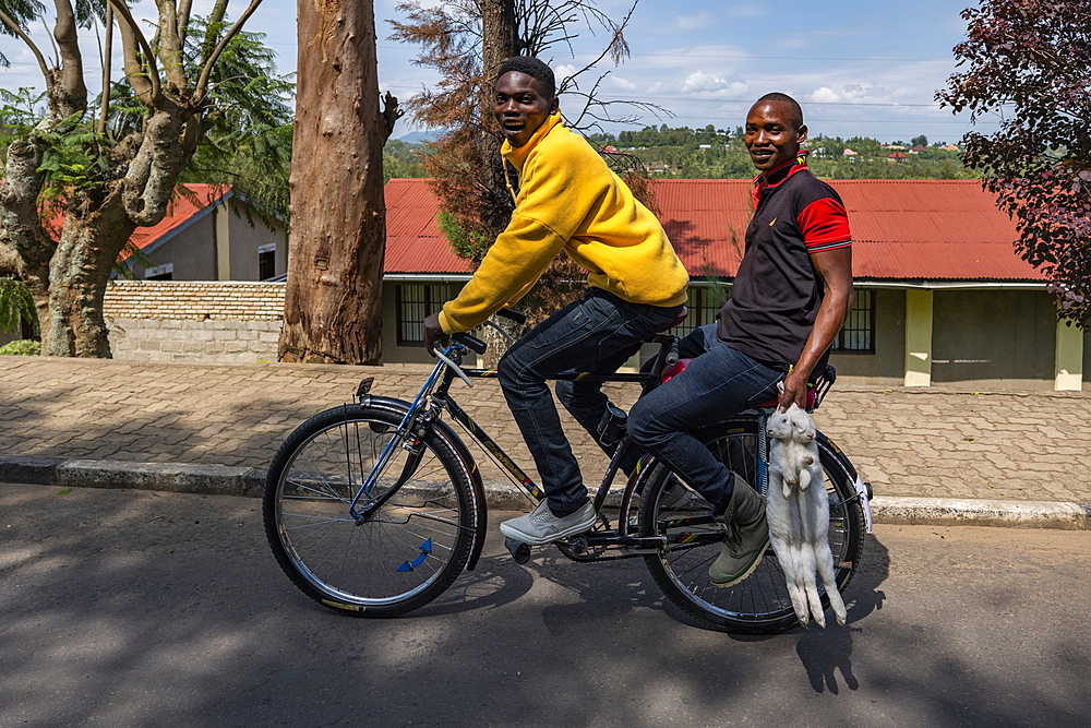 Two young men on bicycles with two killed rabbits in hand, Nyanza, Southern Province, Rwanda, Africa