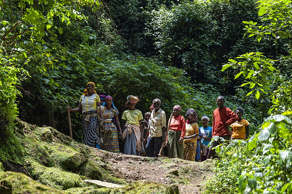 Group of women in colorful clothes on path in Cyamudongo Forest, Nyungwe Forest National Park, Western Province, Rwanda, Africa