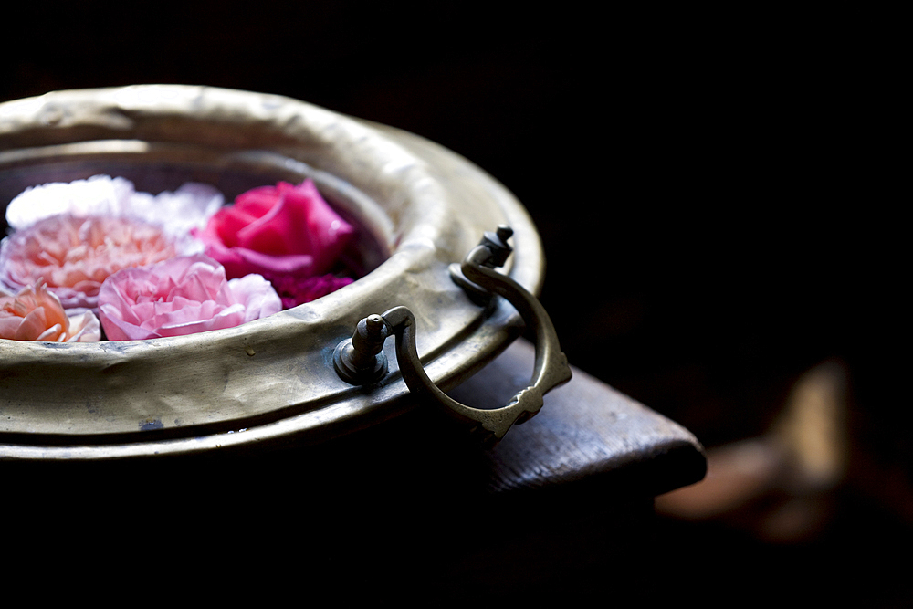 A detail shot of garden roses floating inside a an old brass bowl. Shot in Firenze, Italy.