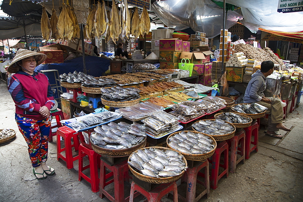 Fish for sale at Chau Doc Market, Chau Doc, An Giang, Vietnam, Asia