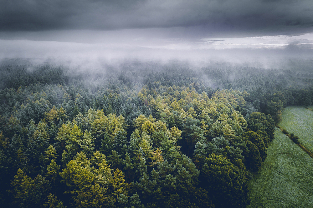 Forest and field under fog and clouds, aerial view, Wiesede, Friedeburg, Wittmund, East Frisia, Lower Saxony, Germany, Europe