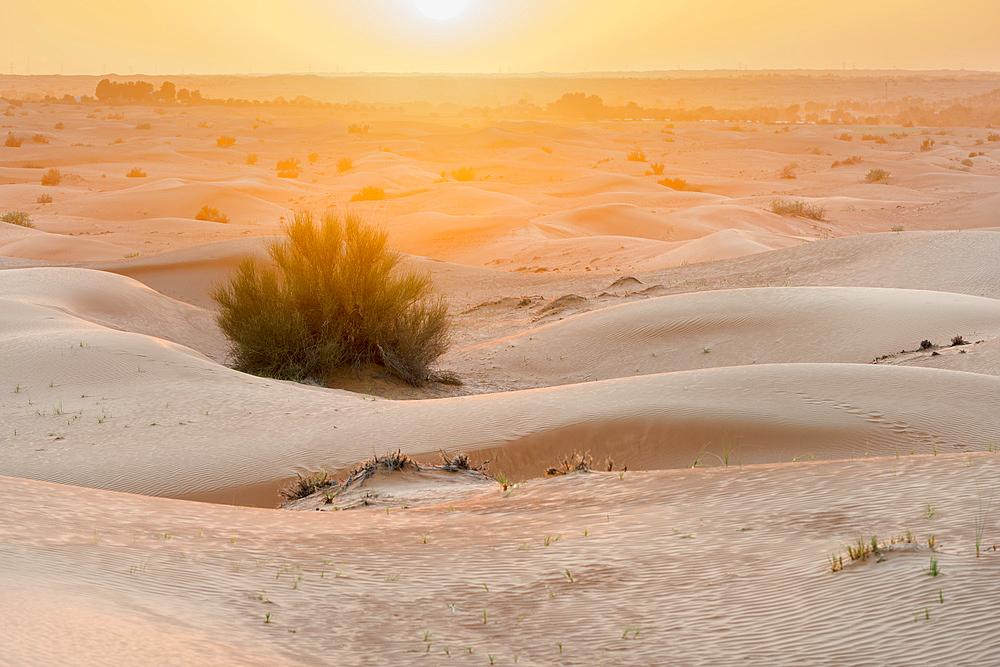 Dunes, desert, Dubai, United Arab Emirates