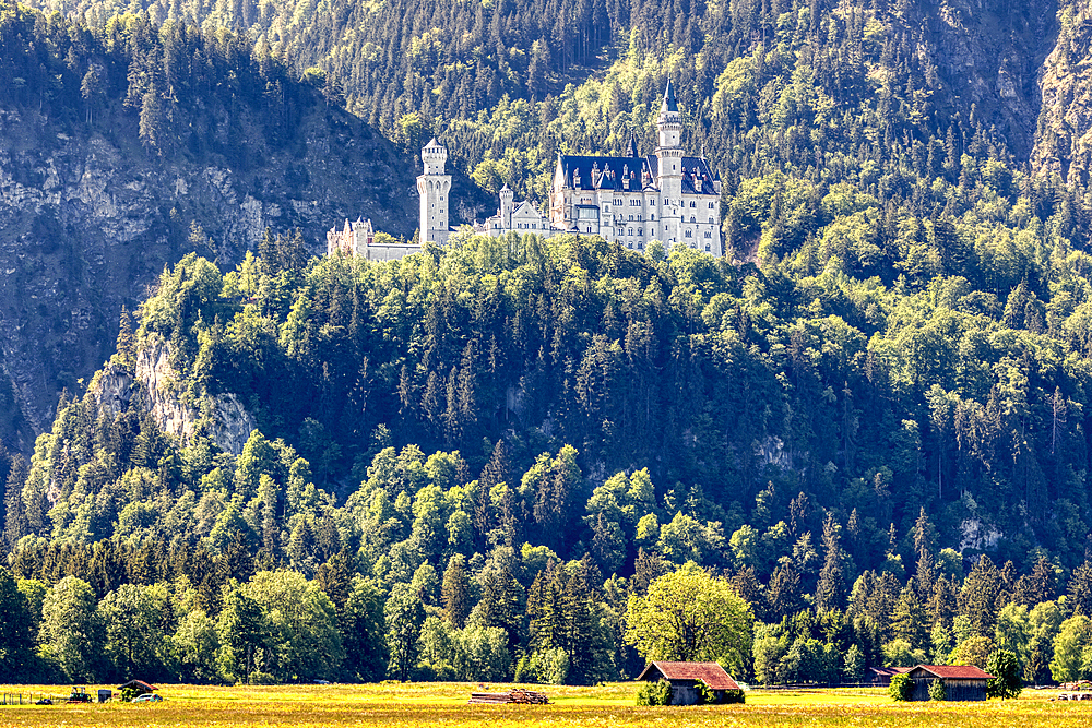 Neuschwanstein Castle in the morning light from Alterschrofen, Bavarian Allgäu, Bavaria, Germany