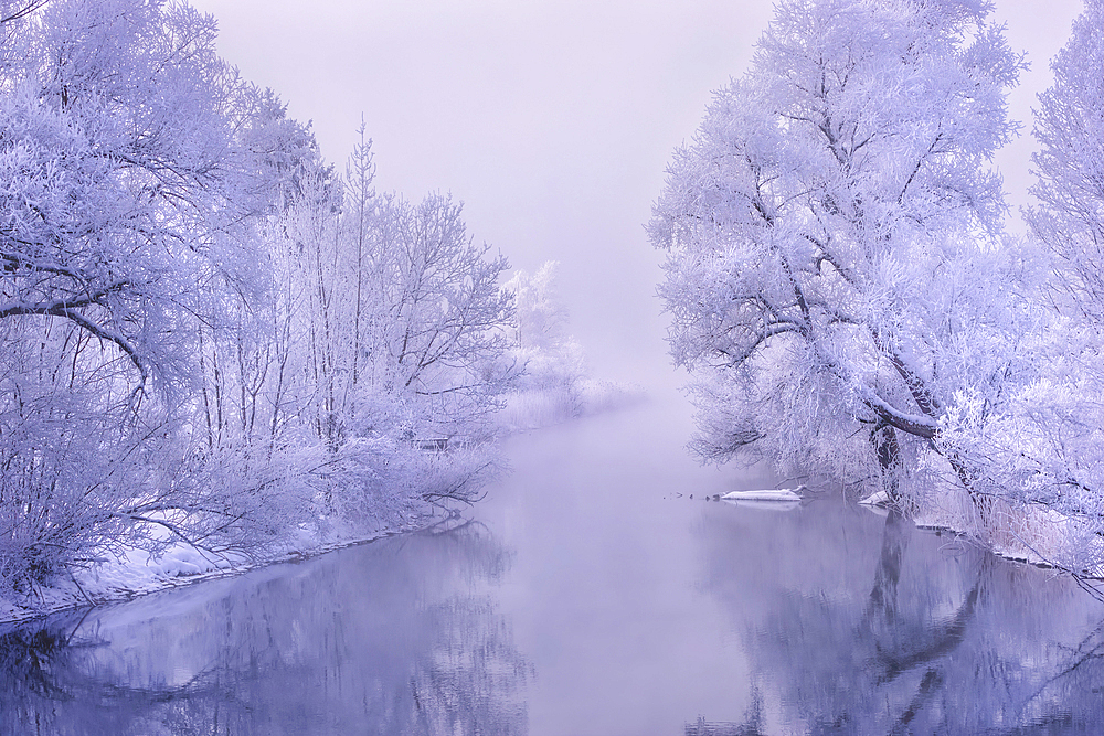 Winter morning on the Loisach, Kochel am See, Upper Bavaria, Bavaria, Germany, Europe