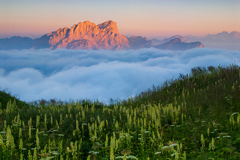 Sunset in the Carnic Alps, mount Creta Grauzaria, Friuli Venezia Giulia region, province Udine, Italy