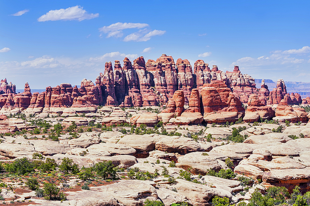 Sandstone pinnacles, Chesler Park, The Needles district, Canyonlands National Park, Utah, USA