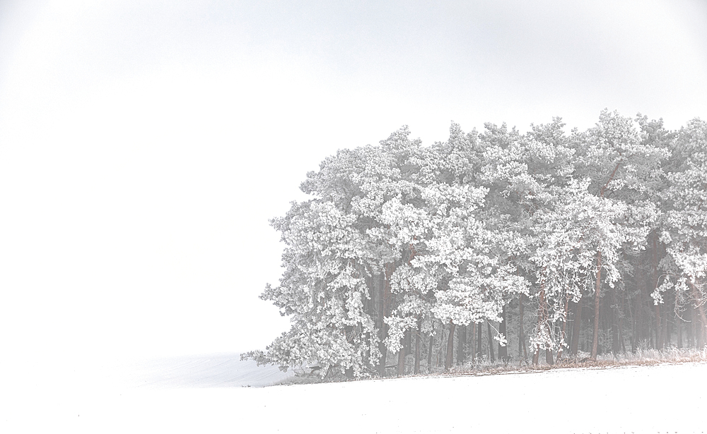 Snow landscape in the Hamburg area, Germany