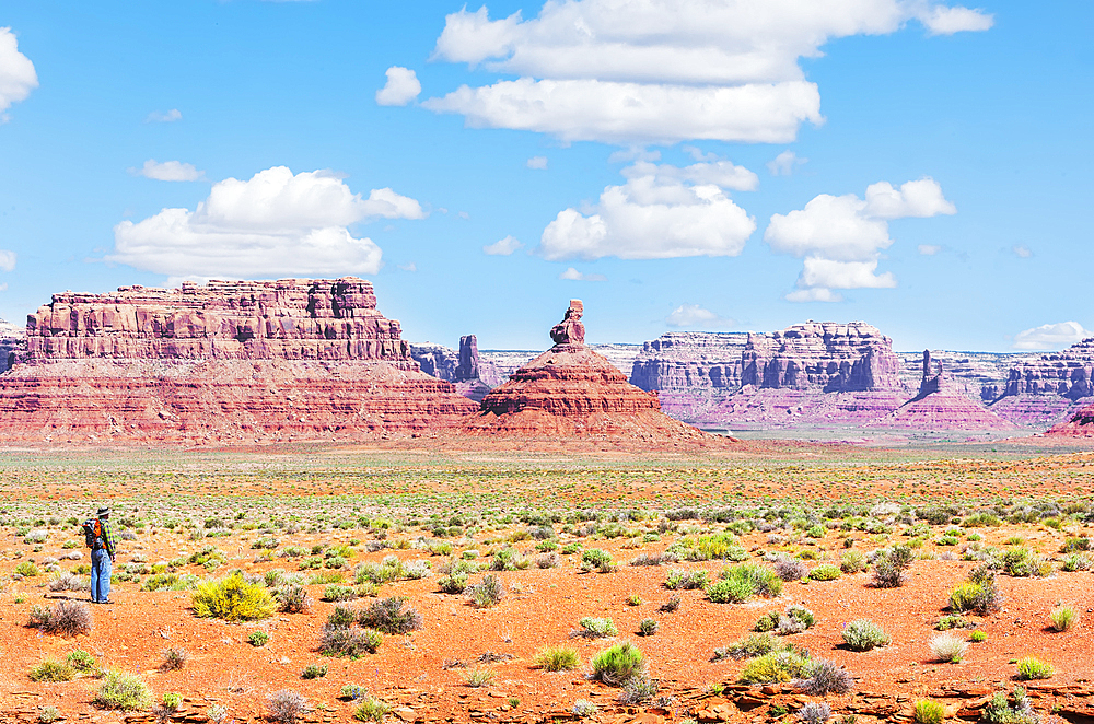 Man contemplating landscape, Valley of the Gods, Utah, USA