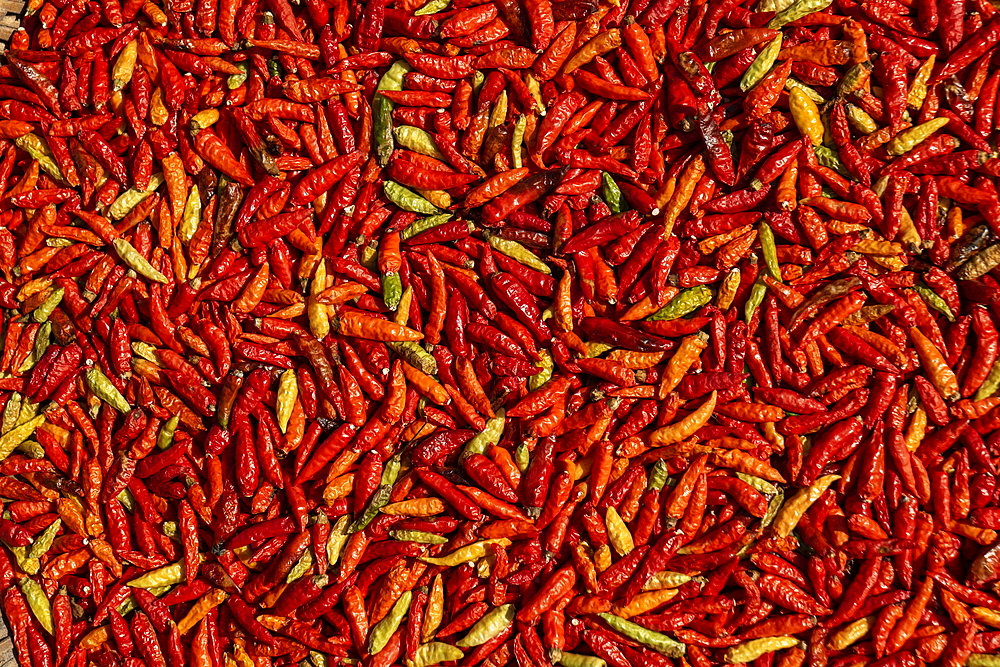 Hot red chillies drying in the sun at the street market, Luang Prabang, Luang Prabang Province, Laos, Asia