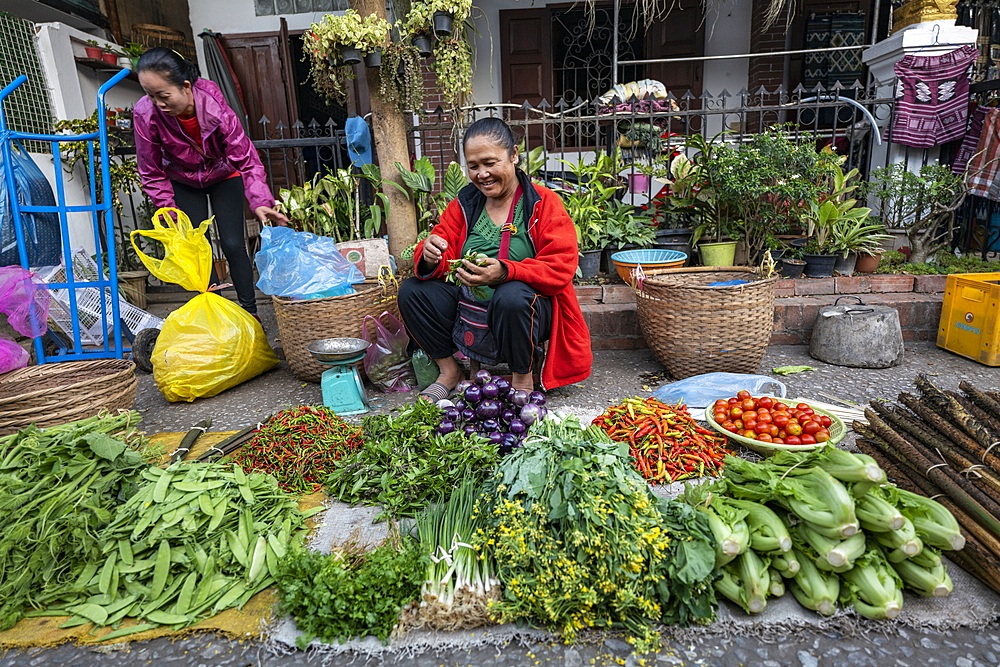 Women selling fruit and vegetables at the morning market, Luang Prabang, Luang Prabang Province, Laos, Asia