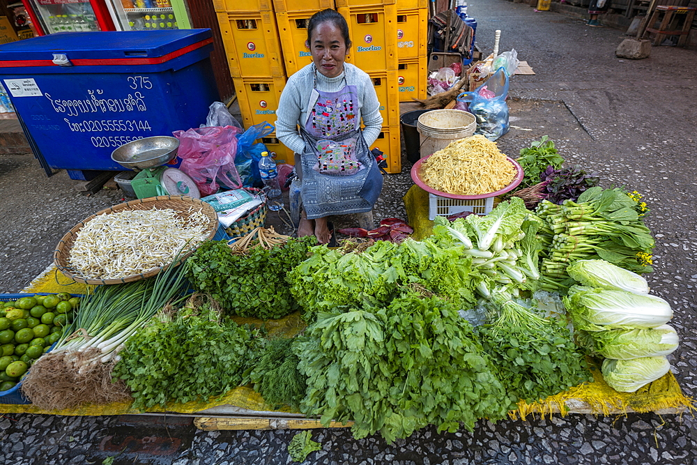 Woman sells fruits and vegetables at the morning market, Luang Prabang, Luang Prabang Province, Laos, Asia