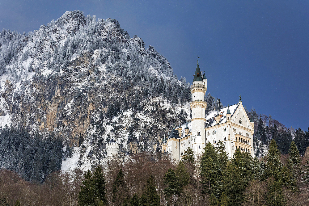 View of Neuschwanstein Castle, Schwangau, Allgäu, Bavaria, Germany