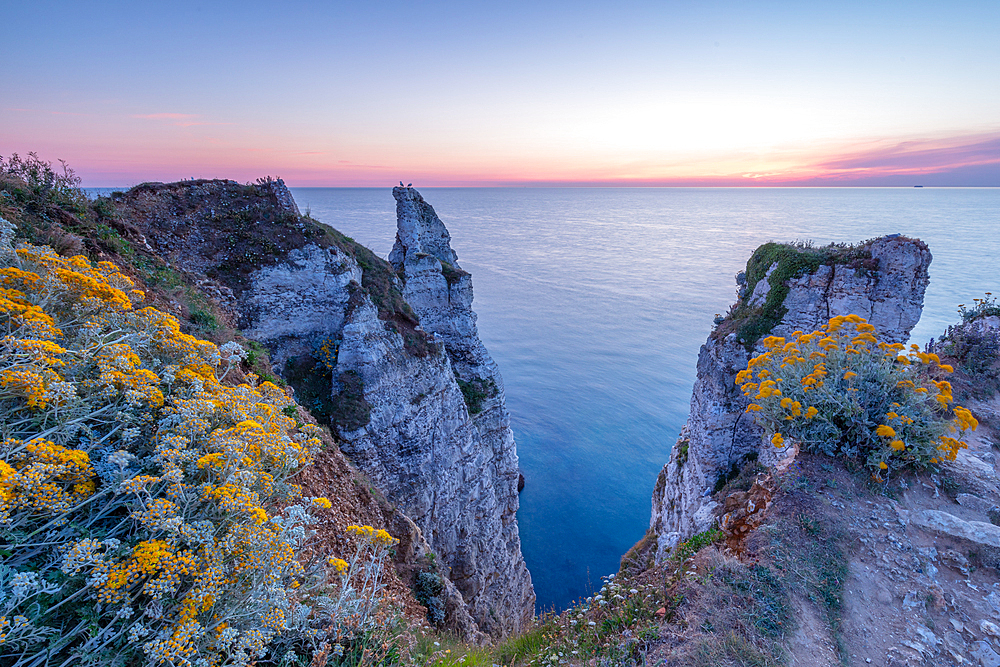 Rock formation and rock needle on the Alabaster Coast near Étretat, Normandy, France.