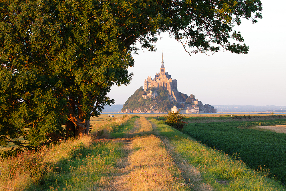 View over the salt marshes to the rocky island of Mont Saint Michel with the monastery of the same name, Normandy, France.