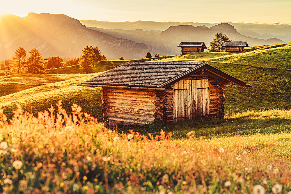 Hut at sunrise on the Seiser Alm in South Tyrol, Italy, Europe;