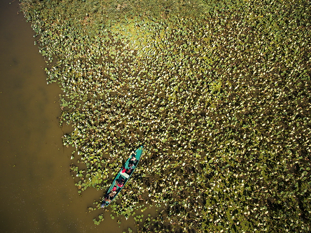 Aerial view of motorboat excursion to wetlands in the Volga Delta with water lilies, near Karalat, Ostrakhan District, Russia, Europe