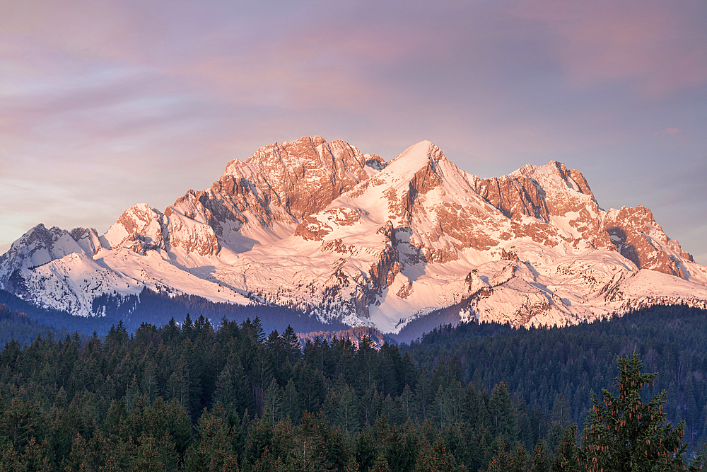 View from the Buckelwiesen near Krün towards the Zugspitz massif, Bavaria, Germany, Europe