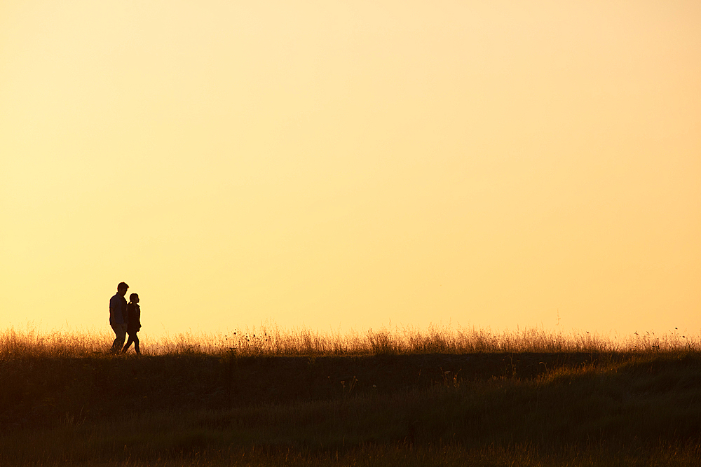 Walkers as silhouettes in the morning light go through the salt marshes at Mont Saint Michel, Normandy, France