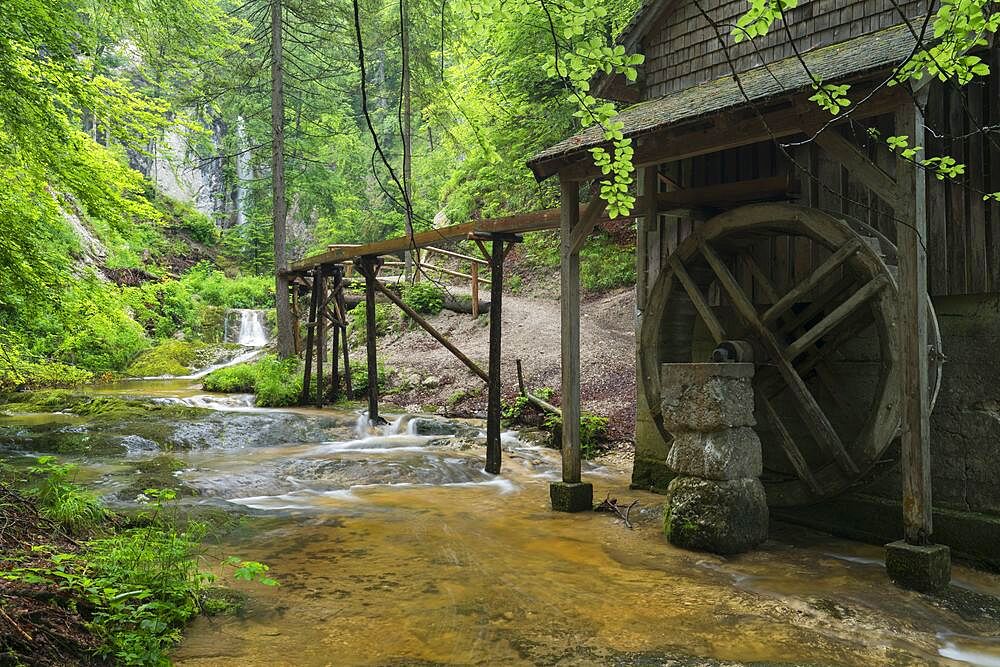 Plötz mill, Salzburg, Austria