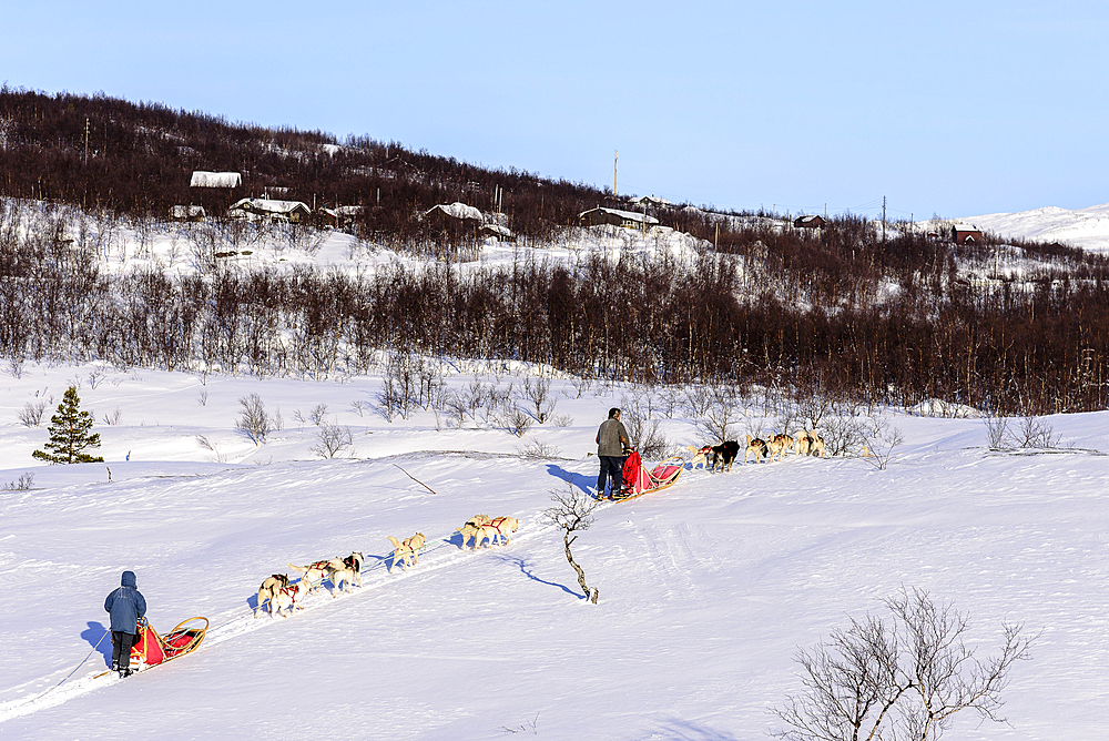 Dog sledding tour near Indset, Björn Klauer's husky farm, Bardufoss, Norway