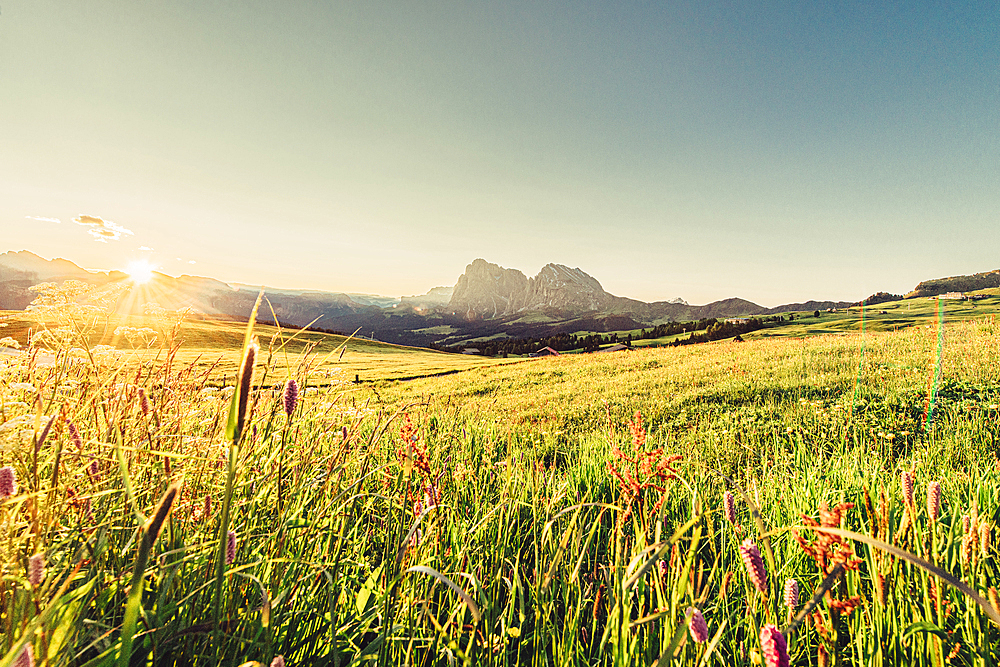 Hut at sunrise on the Seiser Alm in South Tyrol, Italy, Europe;