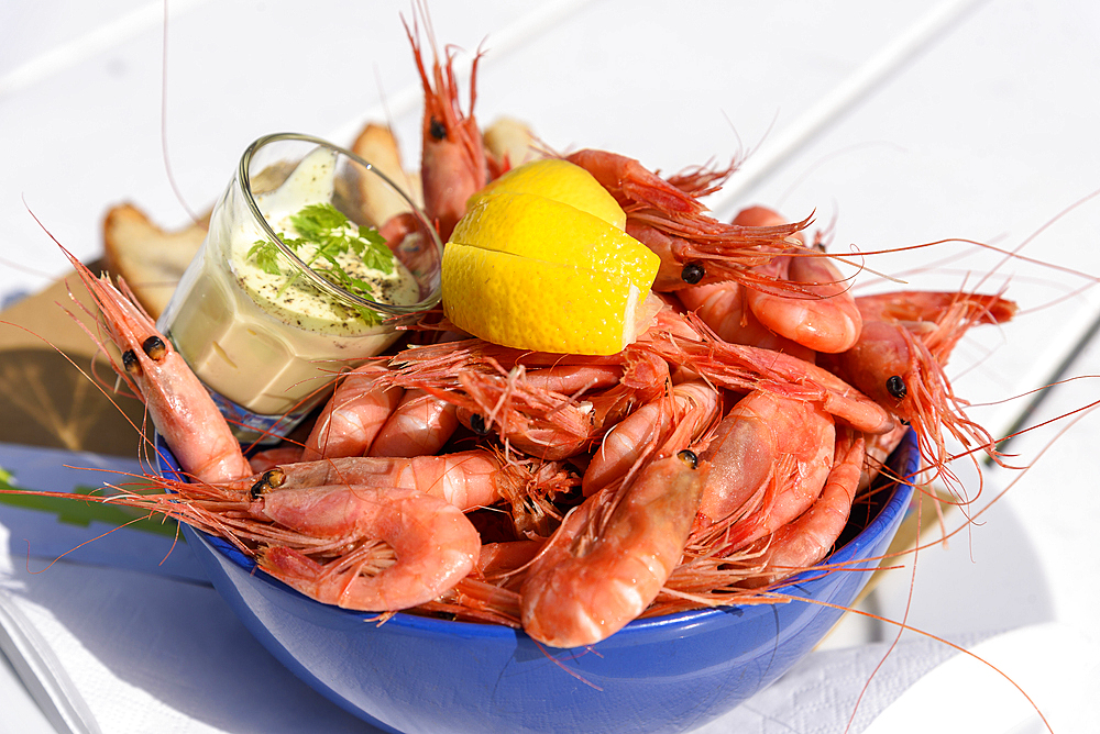 Fresh shellfish as a meal in the Ravnkloa fish hall, Trondheim, Norway