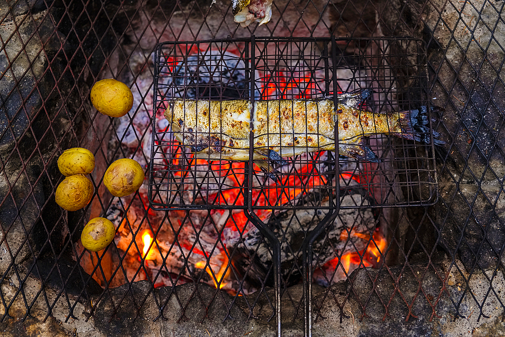 Pike grilled on fire The famous canoe tour Squirrel Tour (Oravareitti), Finnish Lake District, Finland leads between Juva and Sulkava