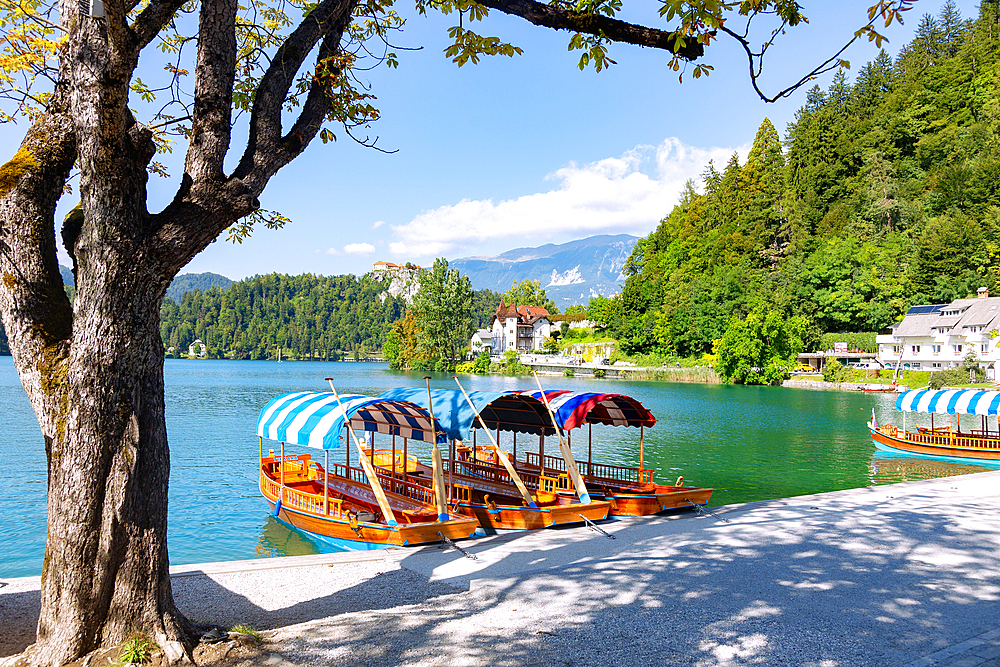 bled, Lake Bled, Bleyski degrees, Pletna rowing boats, Parish Church of Sveti Martin