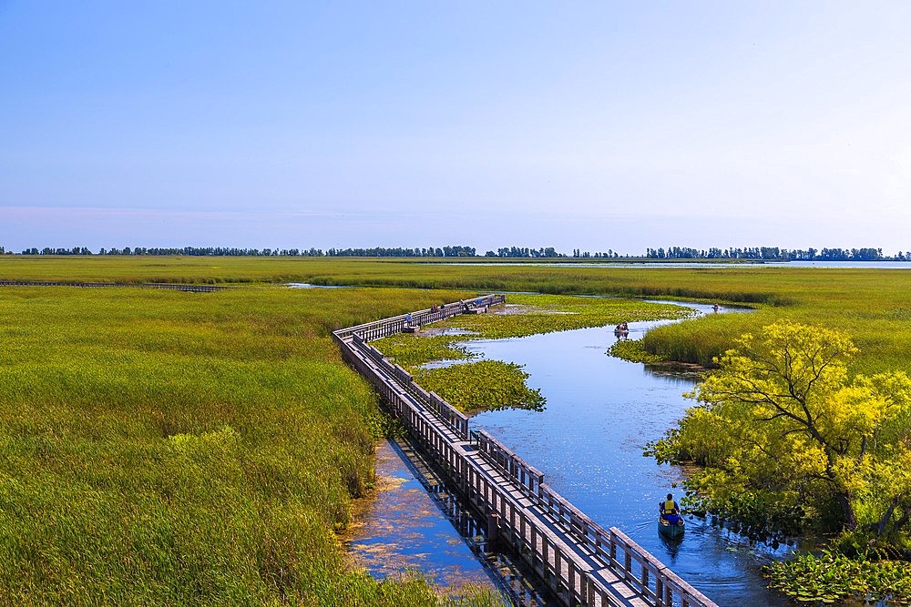 Point Pelee National Park, Marsh Board Walk, canoeists