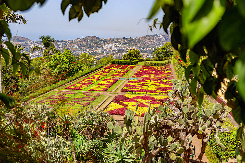 Jardim Botanico da Madeira, Funchal, Jardins Coreografados