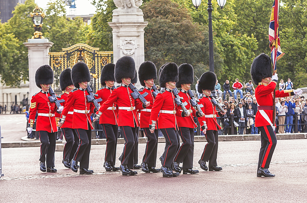 Changing of the Guard, Buckingham Palace, London, England, United Kingdom