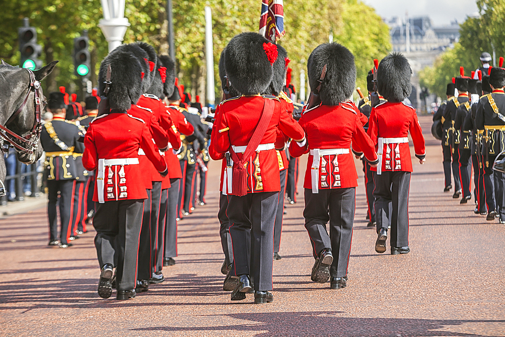 Changing of the Guard, Buckingham Palace, London, England, United Kingdom