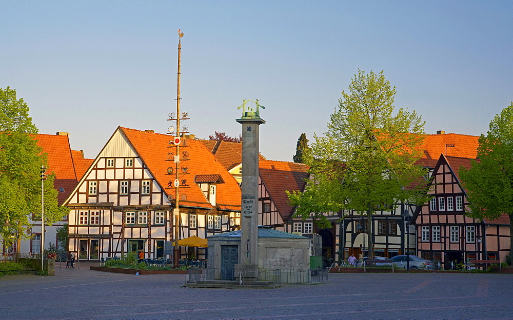 Half timbered houses in the old city of the town of Bad Salzuflen, Well, Paulinenquelle, Strasse der Weserrenaissance, Lippe, North Rhine-Westphalia, Germany, Europe