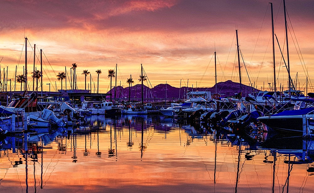 Harbor of Port de Pollenca at sunrise and dawn, Mallorca, Spain