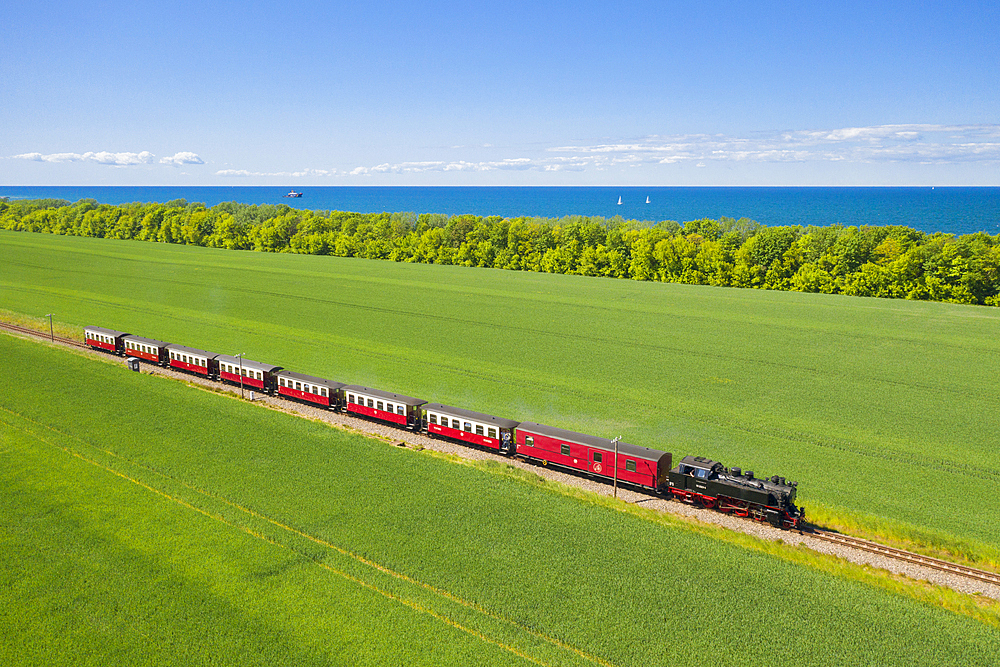 Narrow gauge railway Molli runs on the Baltic Sea between Bad Doberan and Kuehlungsborn, Mecklenburg-Vorpommern, Germany