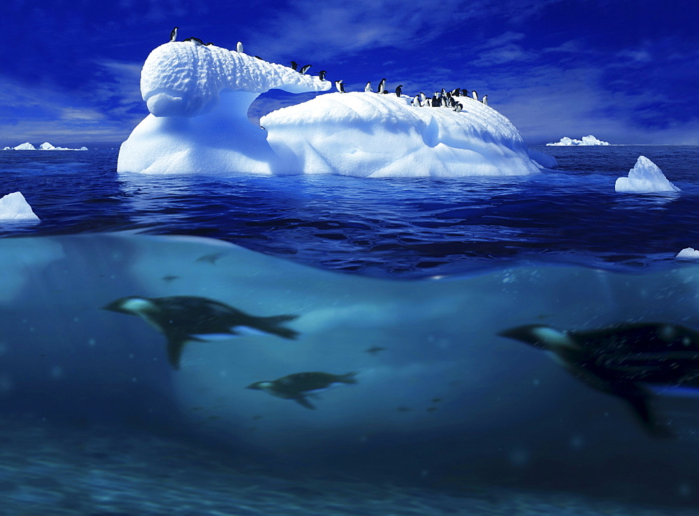 Iceberg with penguins and penguins under water, Antarctic Peninsula, Antarctica