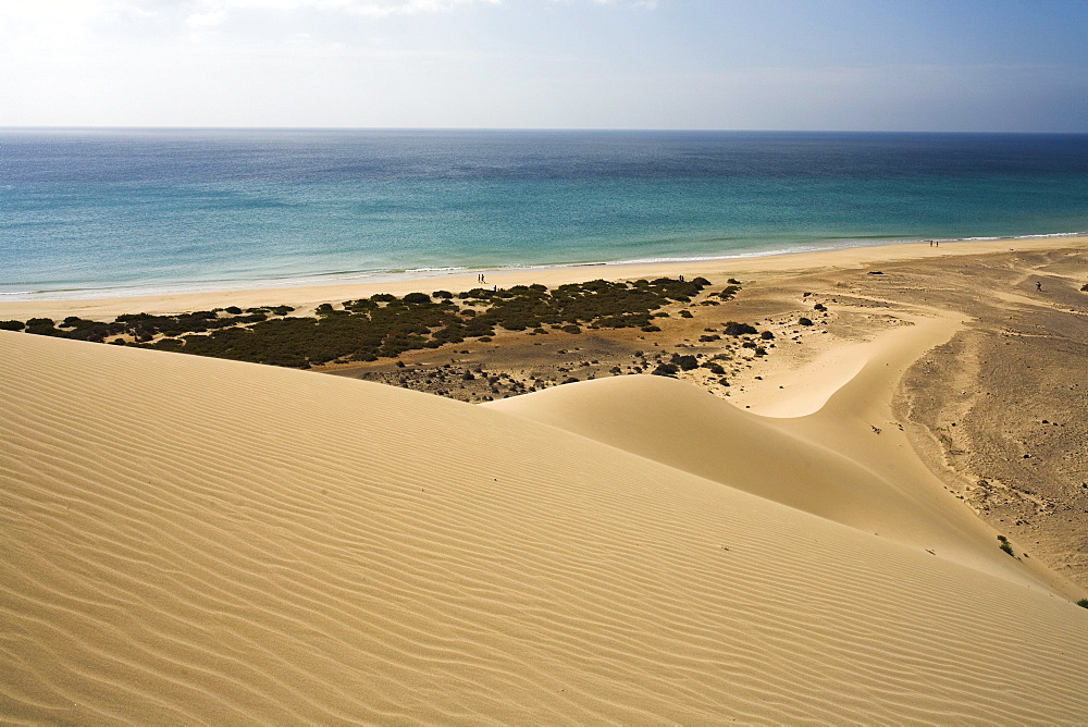 Dune on the waterfront in the sunlight, Playa de Satovento de Jandia, Parque Natural de Jandia, Jandia peninsula, Fuerteventura, Canary Islands, Spain, Europe